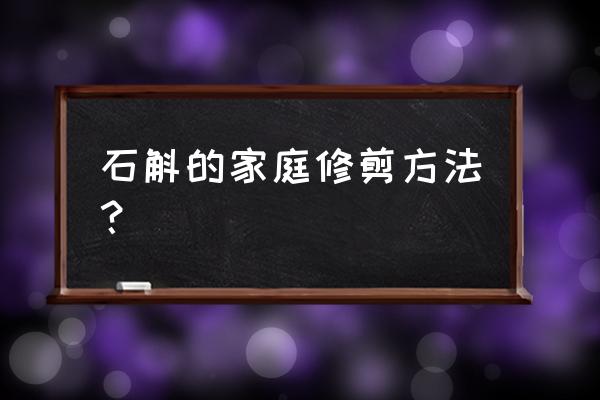 盆栽铁皮石斛什么时候剪石斛 石斛的家庭修剪方法？