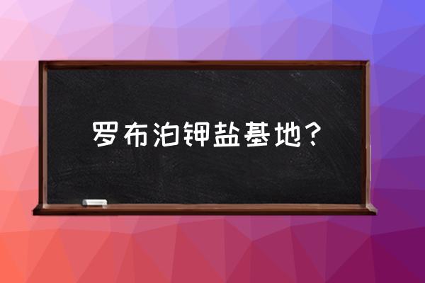 罗布泊生产的有晶体钾肥吗 罗布泊钾盐基地？