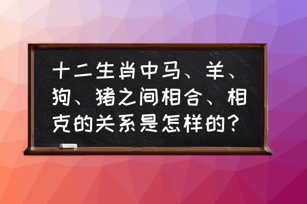 家里有属羊的人不能养狗吗 十二生肖中马、羊、狗、猪之间相合、相克的关系是怎样的？