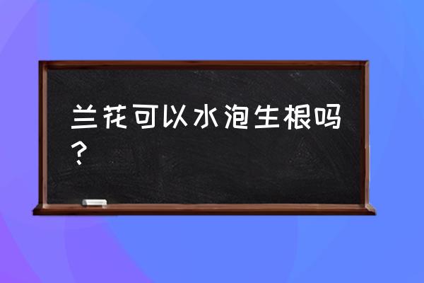 兰花可以水泡生根吗 兰花可以水泡生根吗？