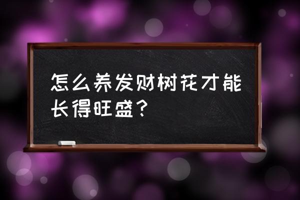 怎样让发财树长得更好 怎么养发财树花才能长得旺盛？