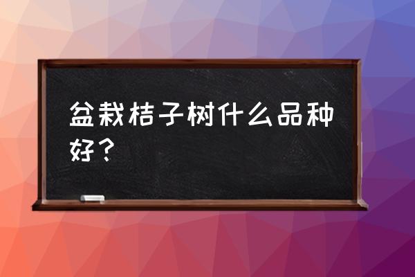 盆栽桔子品种有哪些 盆栽桔子树什么品种好？