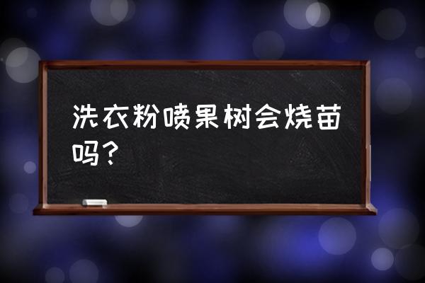 洗衣粉杀虫剂会不会伤根 洗衣粉喷果树会烧苗吗？