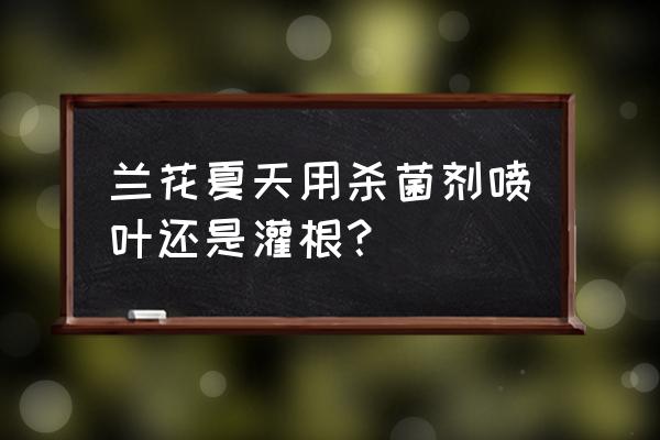 夏天兰花多久用一次多菌灵 兰花夏天用杀菌剂喷叶还是灌根？