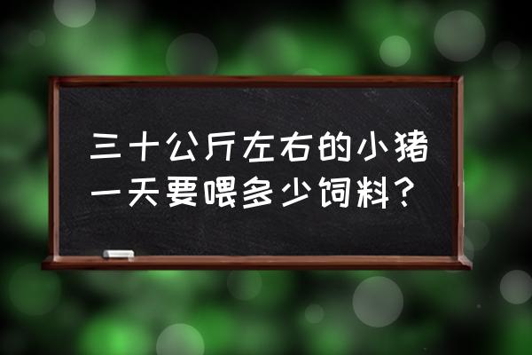 土杂猪用什么饲料 三十公斤左右的小猪一天要喂多少饲料？