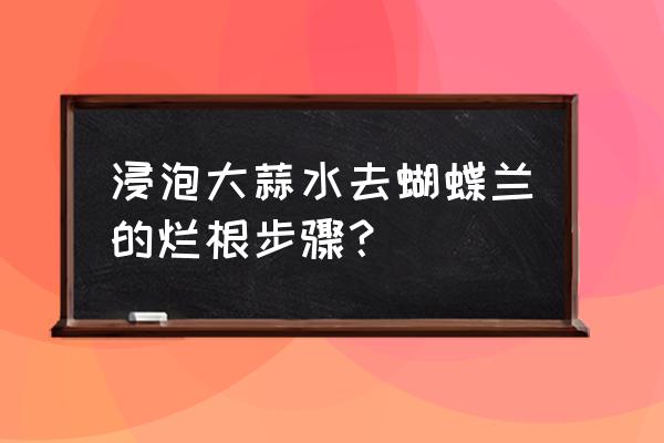 兰花根可以用大蒜水泡吗 浸泡大蒜水去蝴蝶兰的烂根步骤？