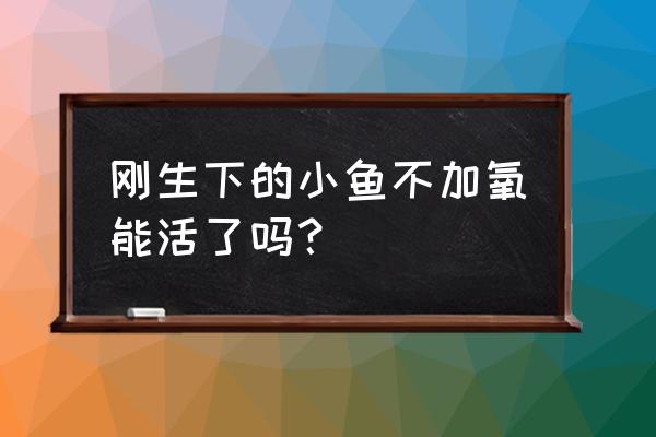 没有增氧机饲料育苗能活多久 刚生下的小鱼不加氧能活了吗？