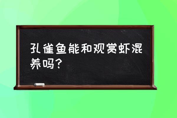 孔雀鱼可以和虾一起养吗 孔雀鱼能和观赏虾混养吗？