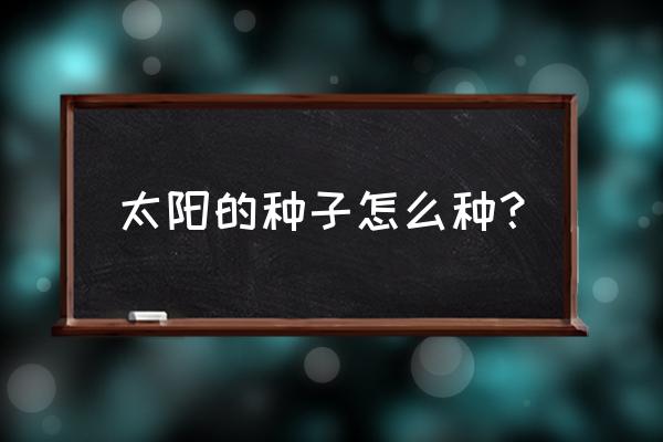 太阳花草籽今年卖多少钱斤 太阳的种子怎么种？