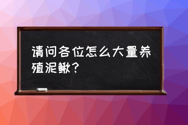 大量养殖泥鳅会生病吗 请问各位怎么大量养殖泥鳅？