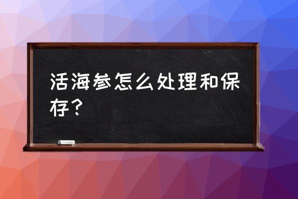 野生鲜海参怎么保存方法 活海参怎么处理和保存？