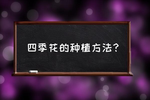 园林中四季花卉怎么种植 四季花的种植方法？