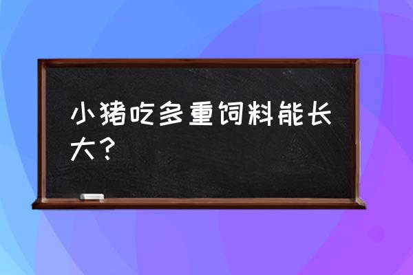 猪一天吃三斤饲料能长多少肉 小猪吃多重饲料能长大？