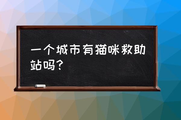 宜宾有动物救助中心吗 一个城市有猫咪救助站吗？