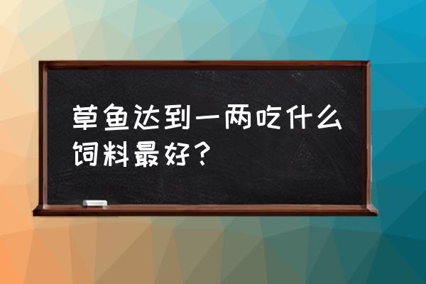 草鱼喂哪些饲料 草鱼达到一两吃什么饲料最好？