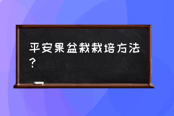 冬天苹果籽怎么种小盆栽 平安果盆栽栽培方法？