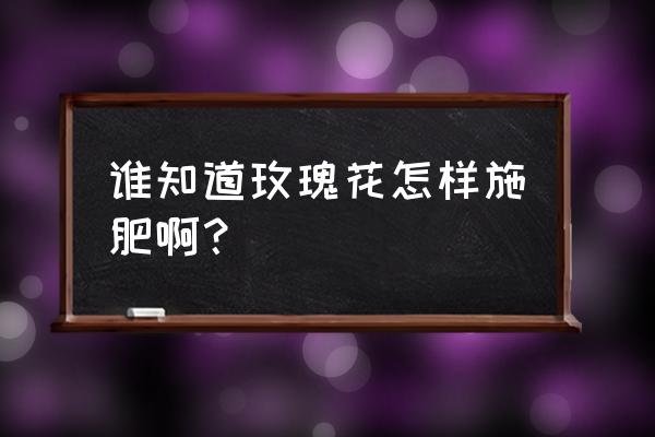 食用玫瑰花怎样施肥 谁知道玫瑰花怎样施肥啊？