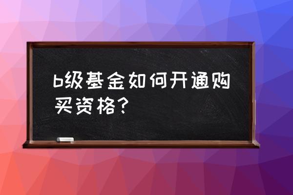 要买b级基金需要开通啥 b级基金如何开通购买资格？