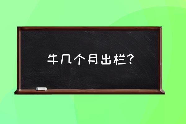 养牛大约什么时候才能出栏 牛几个月出栏？