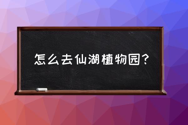 东门中怎么坐车到仙湖植物园 怎么去仙湖植物园？