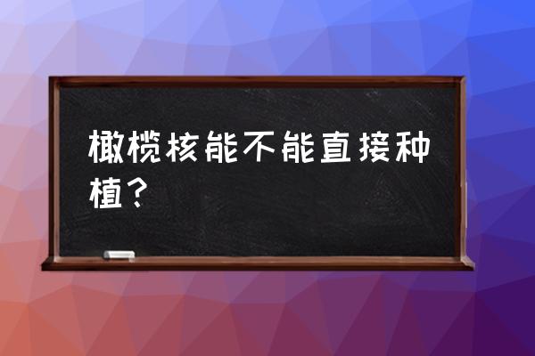 核雕原料几月份下树 橄榄核能不能直接种植？