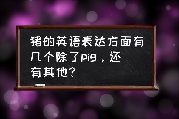 猪爱吃饲料英语怎么写 猪的英语表达方面有几个除了pig，还有其他？