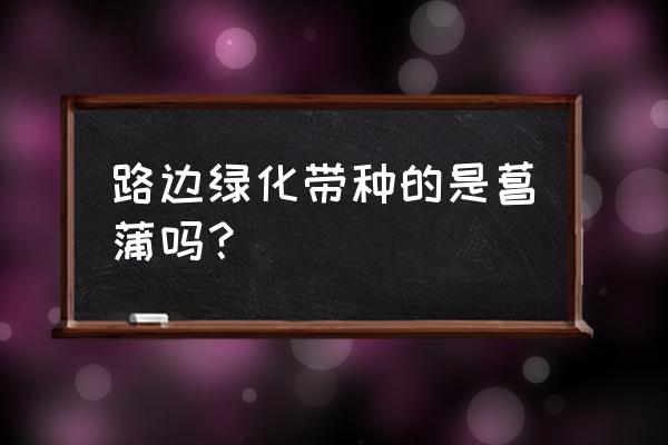 城市道路绿化带植物叫什么名字 路边绿化带种的是菖蒲吗？