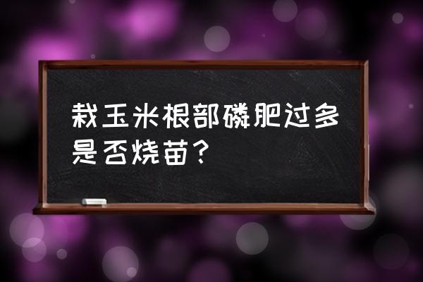 庄稼磷肥施多了会怎么样 栽玉米根部磷肥过多是否烧苗？