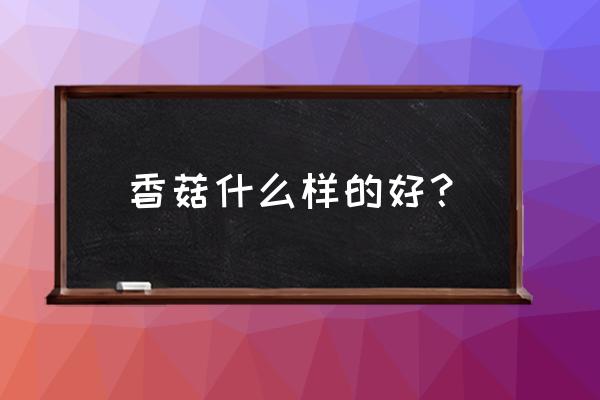 哪种香菇比较好 香菇什么样的好？