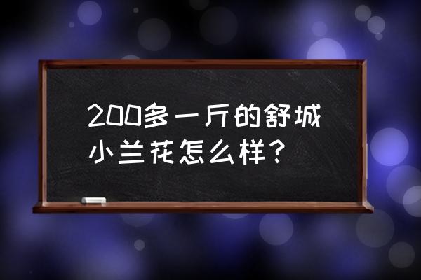 舒城小兰花在哪儿采购 200多一斤的舒城小兰花怎么样？