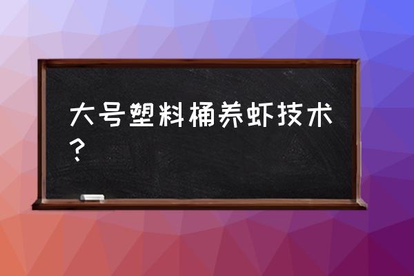 黑壳虾可以在油桶里养吗 大号塑料桶养虾技术？