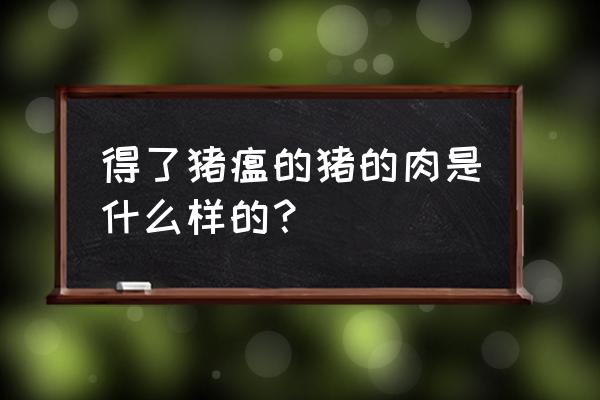 承德的猪肉有温猪病吗 得了猪瘟的猪的肉是什么样的？