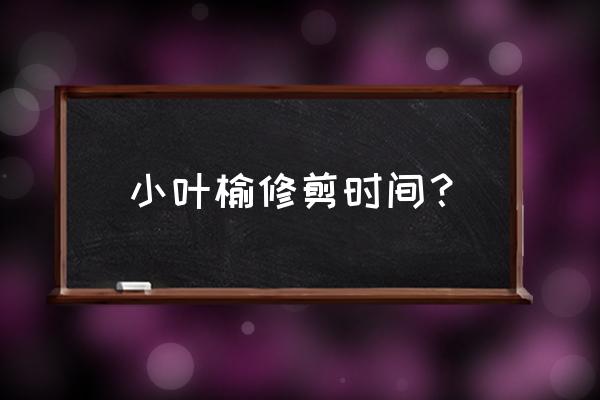 小叶榆树盆景怎么修剪 小叶榆修剪时间？