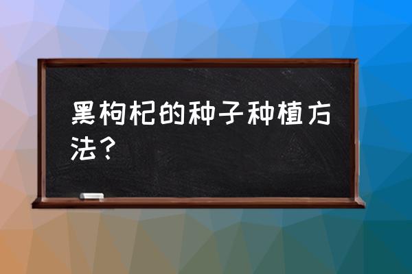 黑枸杞子盆栽几年结果 黑枸杞的种子种植方法？