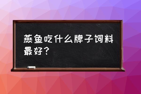 神仙鱼喂啥饲料 燕鱼吃什么牌子饲料最好？