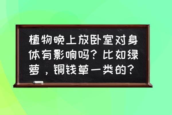 晚上室内放绿色植物好吗 植物晚上放卧室对身体有影响吗？比如绿萝，铜钱草一类的？