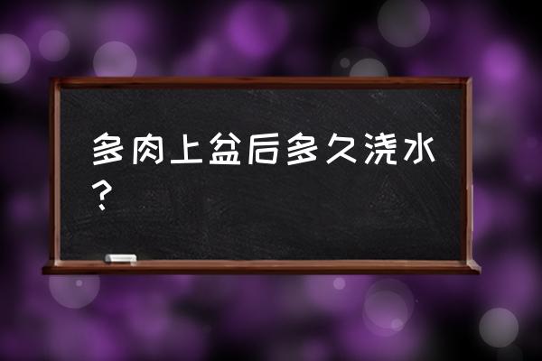 多肉植物换盆后多久可以浇水 多肉上盆后多久浇水？