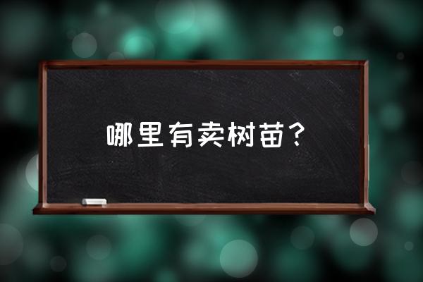 张家口什么地方卖树苗 哪里有卖树苗？