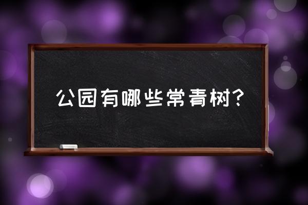 请问绿化带的常青树是什么树 公园有哪些常青树？