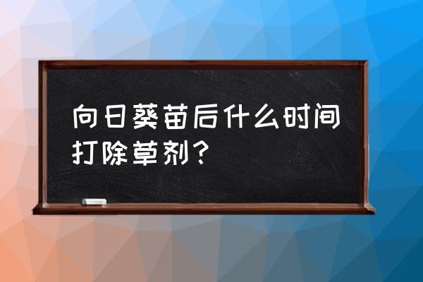 列当的用法 向日葵苗后什么时间打除草剂？