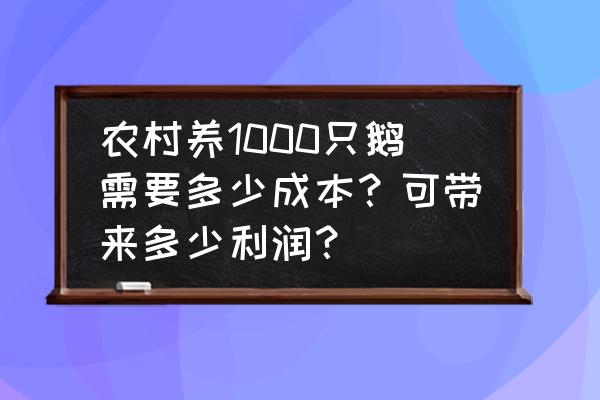 鹅舍建造最佳方案 农村养1000只鹅需要多少成本？可带来多少利润？