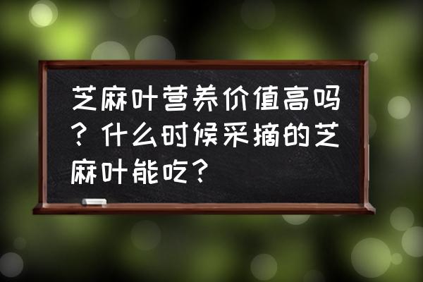 秋天多吃黑芝麻有什么好处 芝麻叶营养价值高吗？什么时候采摘的芝麻叶能吃？