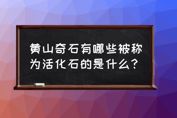 黄山各种奇石图片名称 黄山奇石有哪些被称为活化石的是什么？