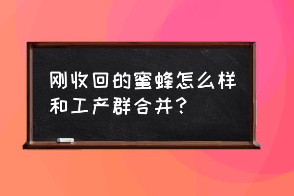 从山上收回的蜜蜂怎么养 刚收回的蜜蜂怎么样和工产群合并？