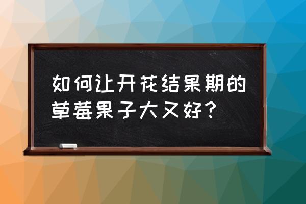 草莓怎么种植才有多的果子 如何让开花结果期的草莓果子大又好？