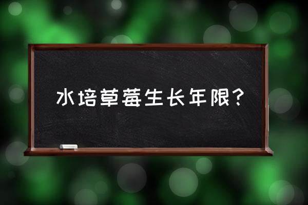 水培草莓种子的种植方法 水培草莓生长年限？