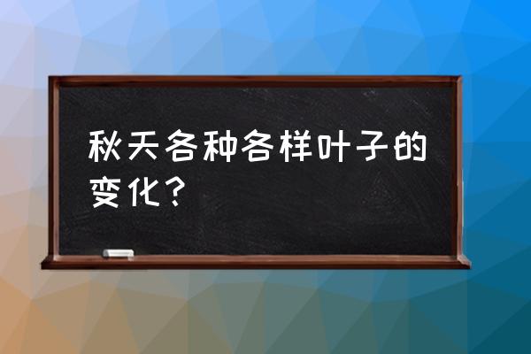 秋天的树叶手工怎么做才好看 秋天各种各样叶子的变化？