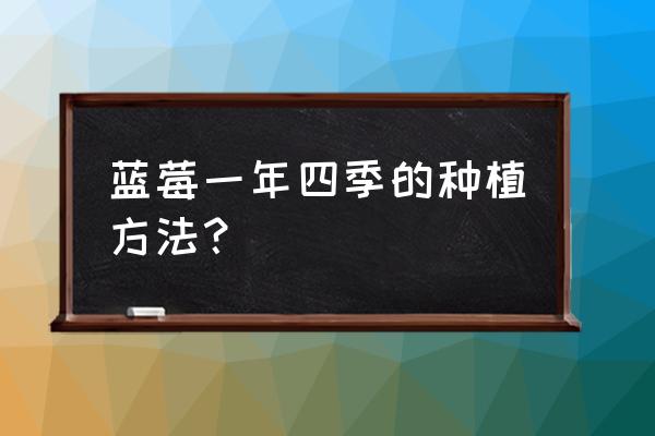 蓝莓苗怎样栽培 蓝莓一年四季的种植方法？