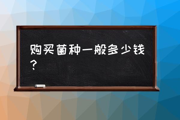 网上买菌种自己种蘑菇 购买菌种一般多少钱？