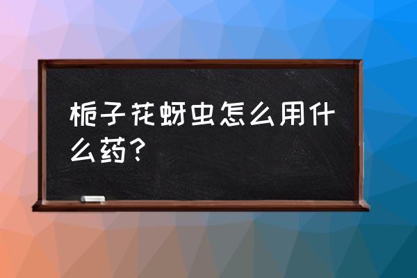 蚜虫用什么药可以治愈 栀子花蚜虫怎么用什么药？